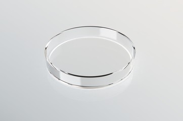 Transparent glass Petri dish on white gloss background. 3D rendering