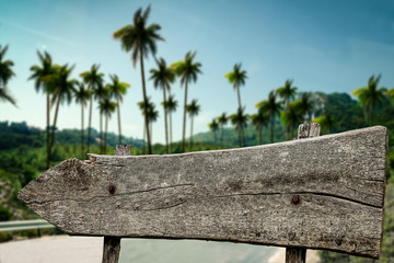 Wooden signpost and free space for your decoration 