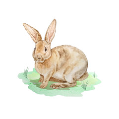 watercolor easter brown rubbit on the lawn