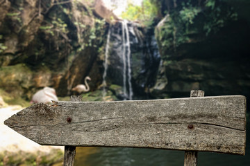 Wooden signpost and free space for your decoration 