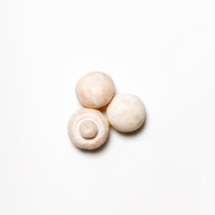 fresh mushrooms isolated on white background