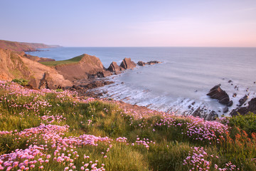 Summer at Hartland point Devon Uk © annacurnow