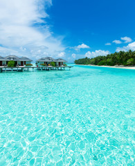 Île des Maldives avec plage de sable blanc et mer