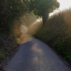 Misty morning sublit on an empty country lane in Hampshire, UK