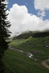 green village views. savsat/artvin/turkey