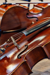 Fototapeta premium violin on black background