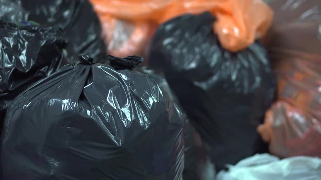Pan of Garbage Bags