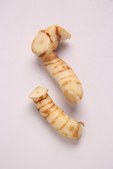 ガランガルの地下茎