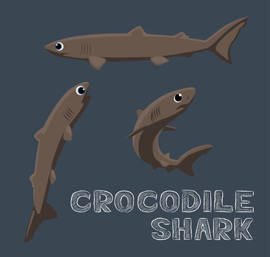 Crocodile Shark Cartoon Vector Illustration