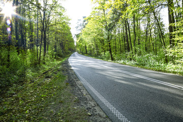 Fototapeta premium Spring road and free space for your decoration. 