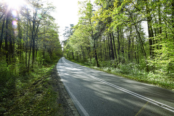 Fototapeta premium Spring road and free space for your decoration. 