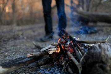 In the spring forest near the bonfire