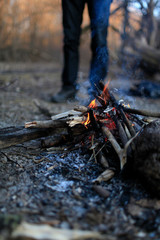 In the spring forest near the bonfire