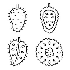 Soursop icons set. Outline set of soursop vector icons for web design isolated on white background