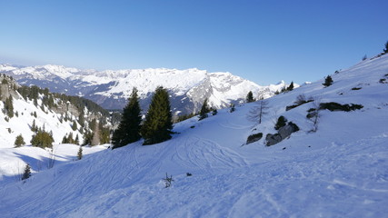 Mountain scenery