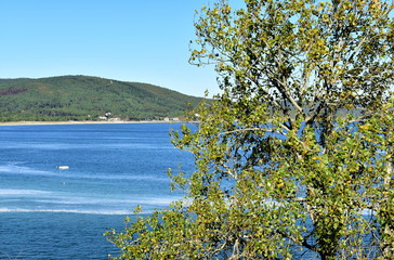 Beach in a bay with tree, forest and blue sky. Galicia, Spain.