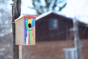 birdhouse painted in different colors on a tree in the park