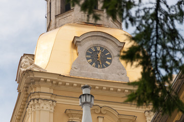 View of the Clock Tower of Peter and Paul Fortress through the Paws of Spruce