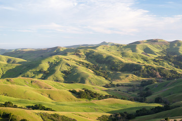 Rolling hills of California on West Coast in USA. Backgrounds, landscape and nature.