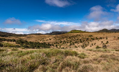 Sri Lanka - Horton Plains