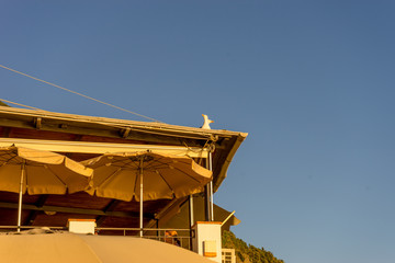 Italy,Cinque Terre,Riomaggiore, a bird sittign on the rooftop during sunset