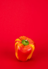 Red bell pepper. Flame pepper variety. Red background.