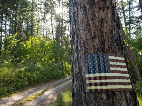 Corrugated metal American flag on tree trunk