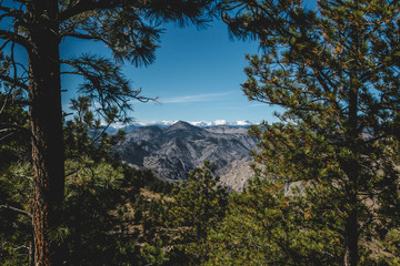 Beautiful scene with trees, and snow covered mountains.
