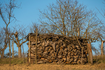 Brennholz gestapelt © focus finder
