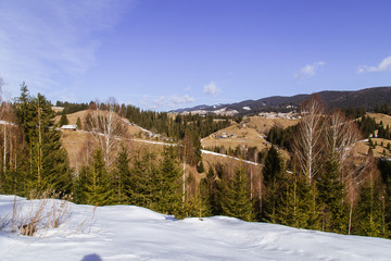 Winter landscape in the Carpathian mountains  with gutsul culture.