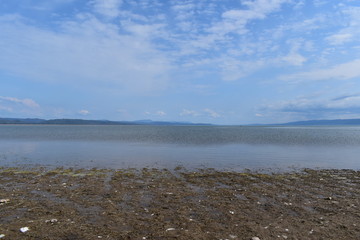 Pong Dam Lake Wildlife Sanctuary , Himachal Pradesh 