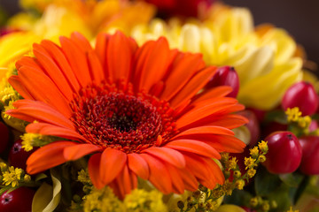 Gerbera flowers blooming beautiful bouquet. Angle view