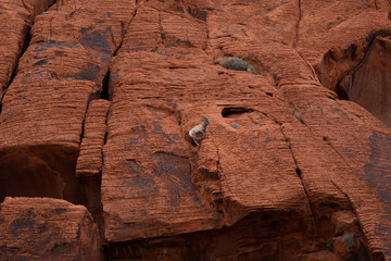 Climbing up the wall