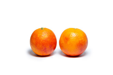 oranges on white background