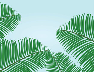 Palm leafs background. vector illustration