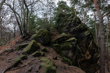 Teufelsmauer Gradweg