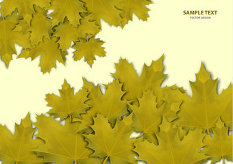 Abstract background from a variety of bright maple leaves on a light background. Stylish modern design for flyers, posters, flyers, banners. Vector illustration