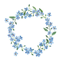 akwarela niebieski wieniec Niezapominajka z zielonymi liśćmi na białym tle - 253136365