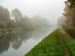 Isarkanal im herbstlichen Nebel, englischer Garten, München