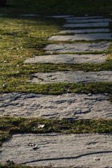 Stone path in a zen garden