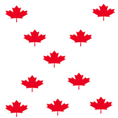 maple leaves in Canada