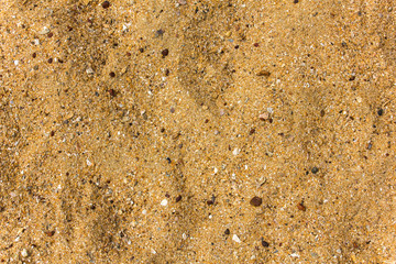 yellow sand with sea pebbles and shells close-up. natural surface texture