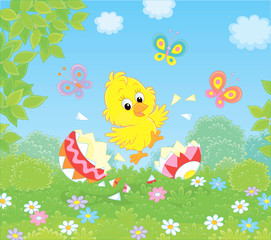 Fototapeta na wymiar Happy just hatched yellow chick dancing over shells of a colorfully painted Easter egg on green grass among flowers on a sunny spring day, vector illustration in a cartoon style