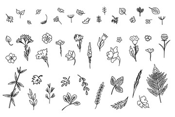 Big collection of flowers and plants. Used for various types of design. Linear style. Vector illustration