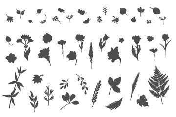 Big collection of flowers and plants. Used for various types of design. Linear style. Vector illustration