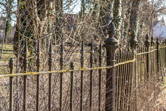 Gitterstab Bilder Durchsuchen 1,232 Archivfotos, und