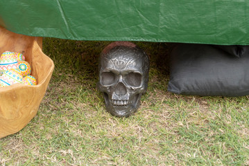 skull on ground