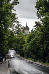 Fototapeta na wymiar Wet road in the Tallinn center with lush green vegetation around and Alexander Nevsky Cathedral domes in the distance in fresh rainy day.