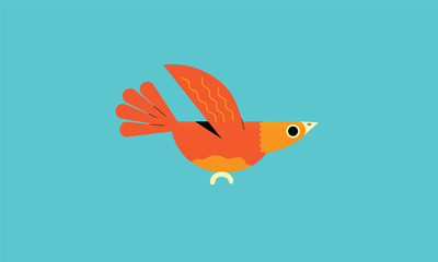 Bird