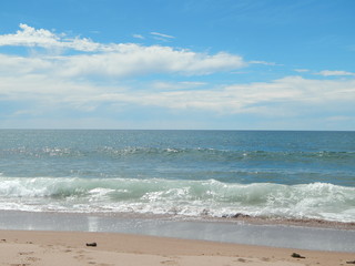 Mar patagonico